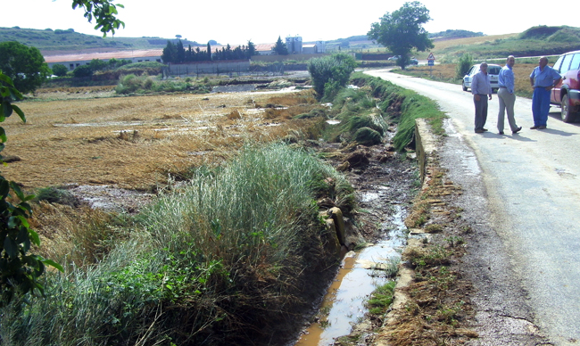 El alcalde (ctro.) recorre una de las zonas arrasadas.