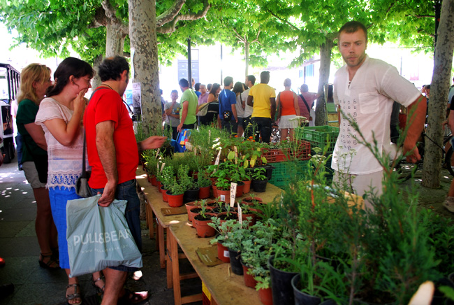 Un vendedor de plantas.