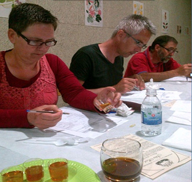 Se cataron 7 miles diferentes