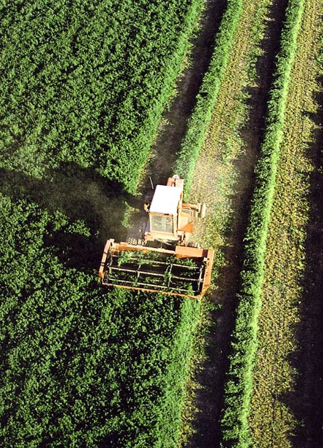 Maquinaria en un cultivo.