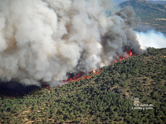 Imagen aérea del incendio