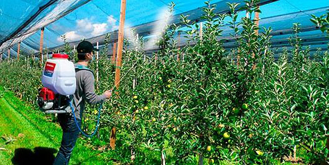 Fumigación de frutales.