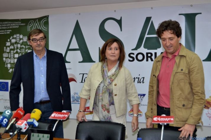 Feria Ganadera de Soria 2013