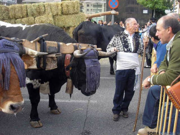 Feria Ganadera de Soria