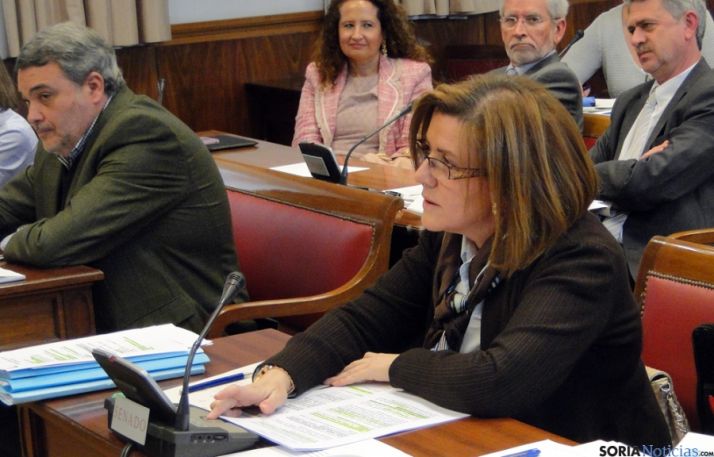 Marimar Angulo, en una comisión del Senado.