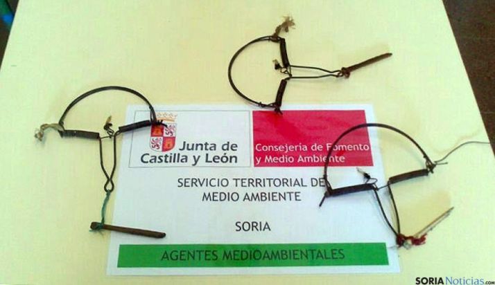 Cepos ilegales confiscados.