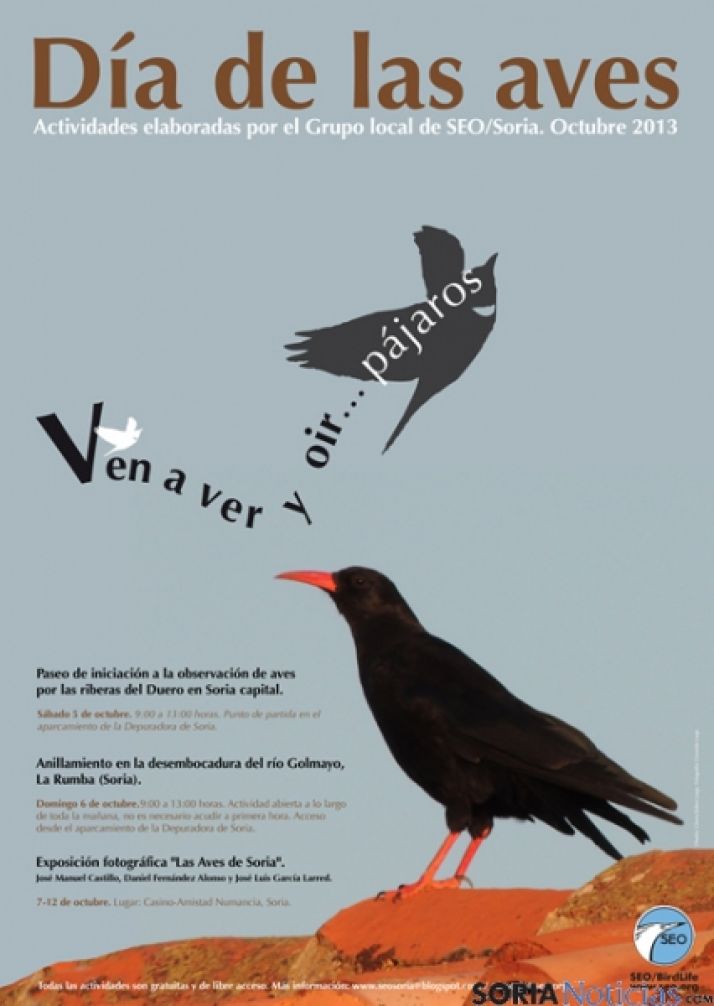 Cartel de la jornada