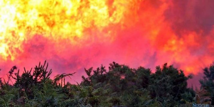 Imagen de un incendio forestal