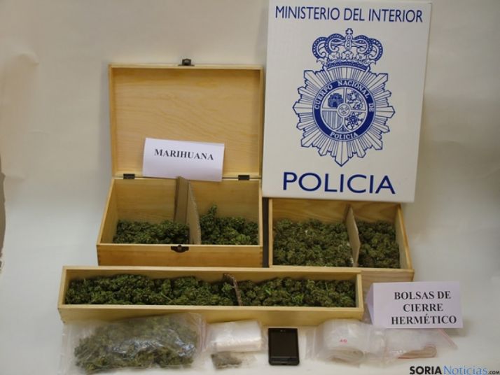 Cogollos de marihuana