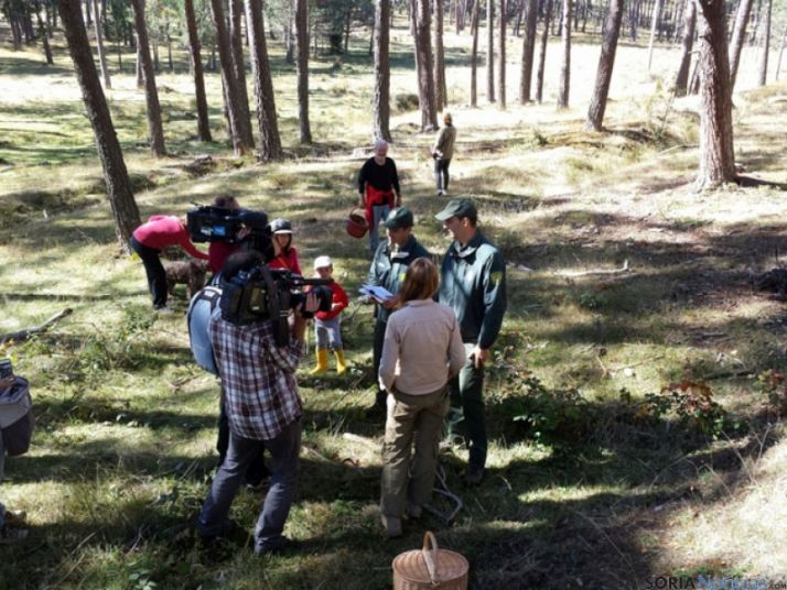 Rodaje Escarabajo Verde