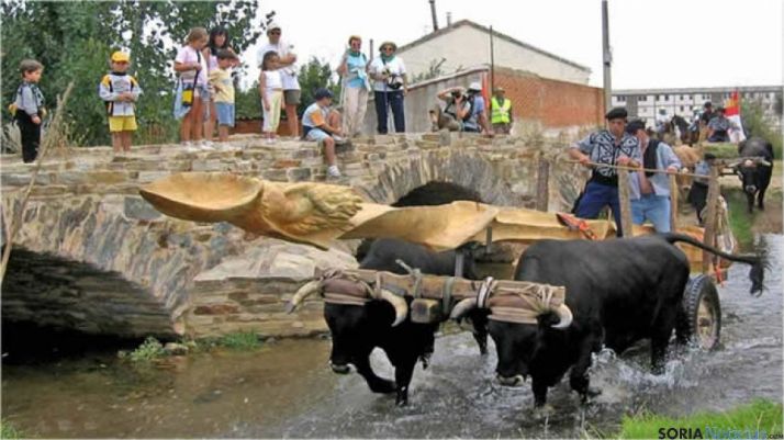 Bueyes serranos en el Xacobeo 2004