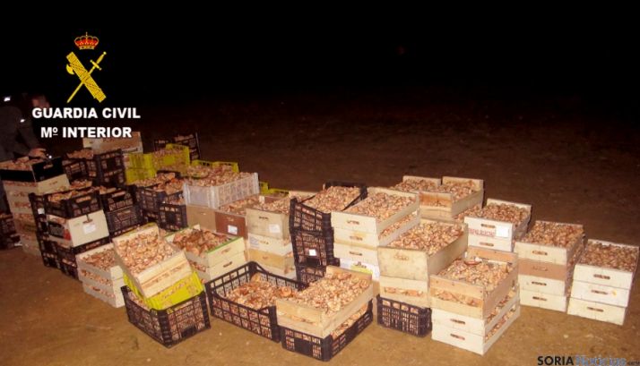 Parte de las 180 barquillas decomisadas.