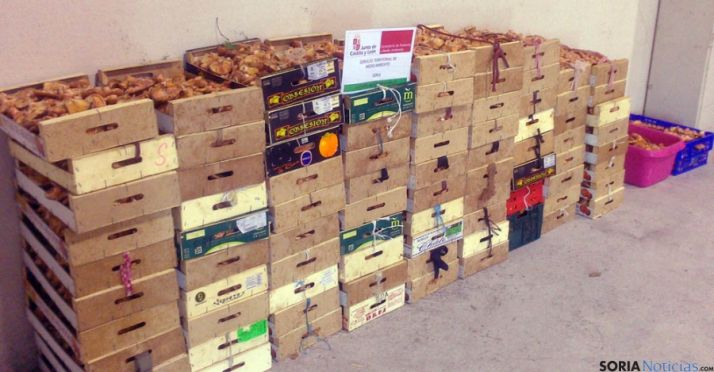 Otra imagen de las barquillas apiladas de Matalebreras.