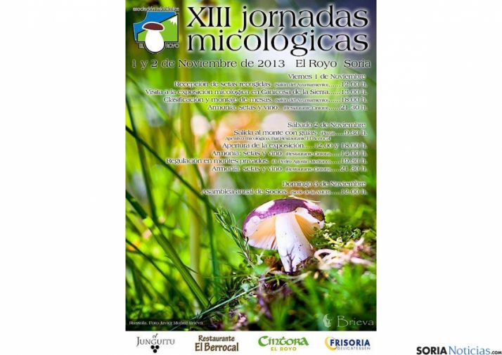 Este fin de semana, cita con las setas en El Royo