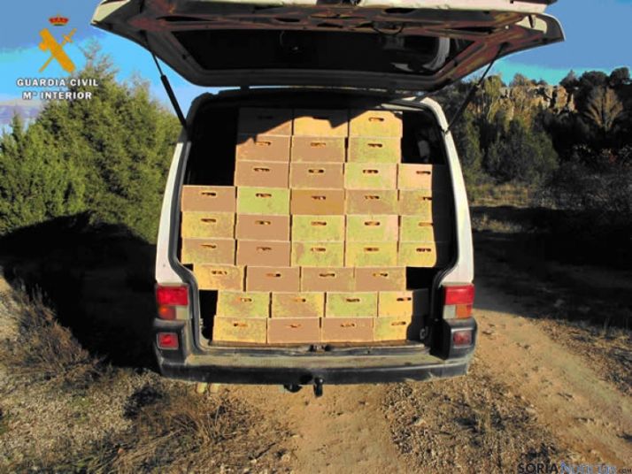 Níscalos decomisados en Calatañazor