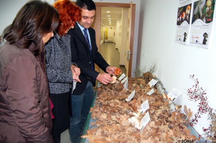 Exposición micológica en La Dehesa