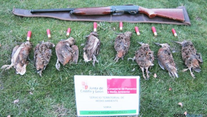 Piezas y escopeta incautadas