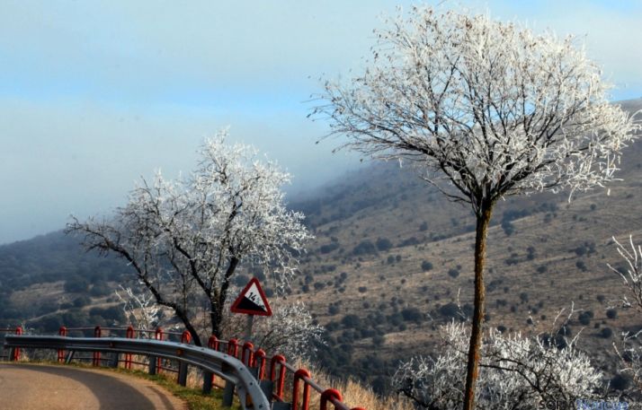 Escarcha en la ladera del castillo.
