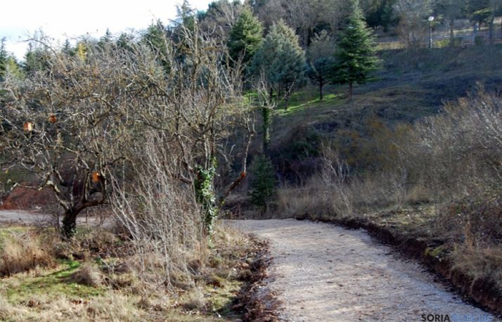 Uno de los tramos de la senda recuperada.