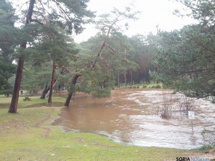 Río Duero en Covaleda/David Rubio (Historia de Covaleda)