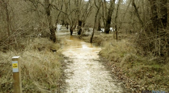 Uno de los senderos inundado en el Duero. 