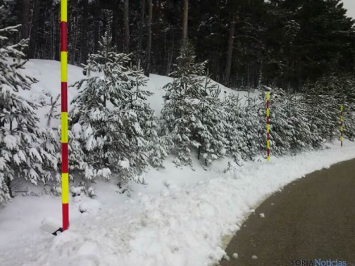 Imagen desde el Puerto