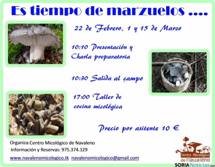 Las jornadas, en los dos próximos fines de semana.