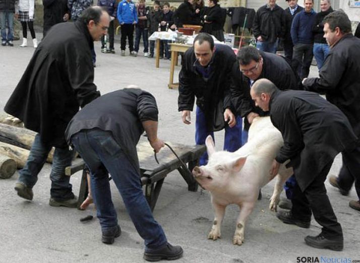 Matanza de 2013. / pinaresnoticias.com