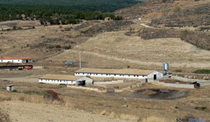 Instalaciones para la cría de serrana en Taniñe. 