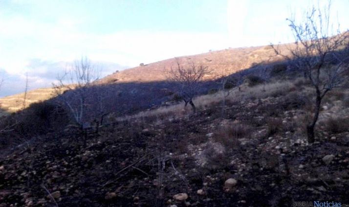Una de las áreas afectadas por el fuego.