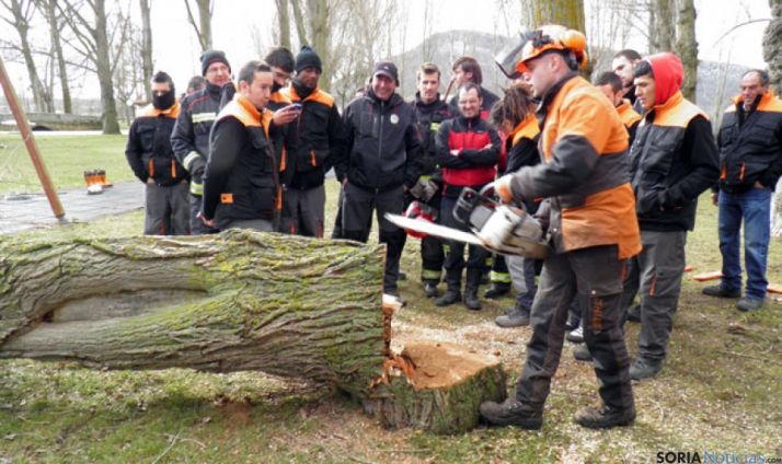 Curso sobre utilización de motosierra