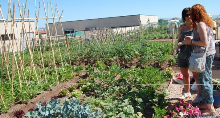 Aspecto de loshuertos en agosto de 2013/ Ayto.