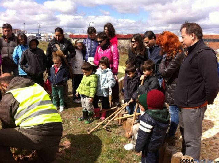 Plantando nuevos árboles