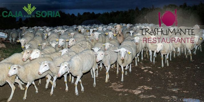 El pastoreo centra el nuevo concurso.