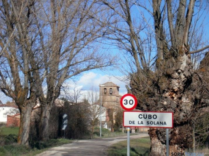 Cubo de la Solana, con chopos singulares en la entrada