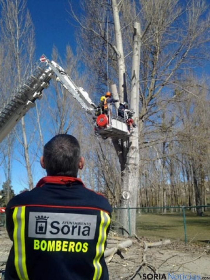 Aprendiendo a manejar maquinaria forestal
