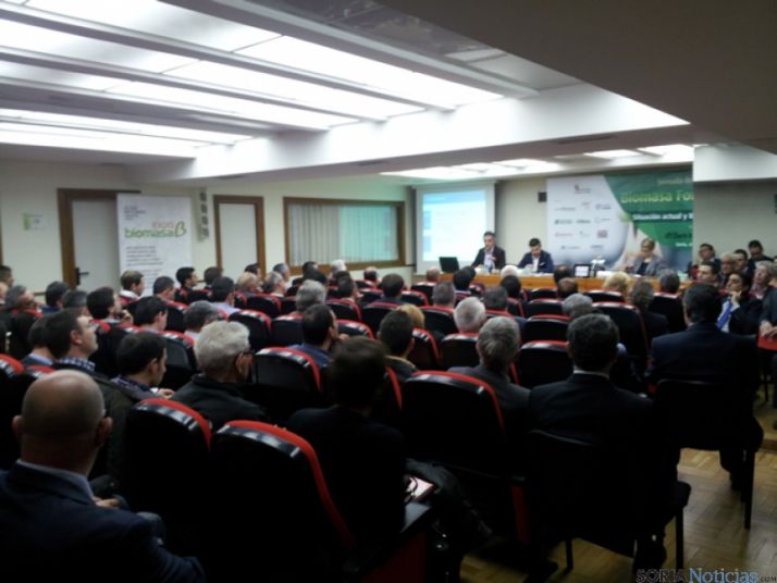 Lleno en las jornadas de biomasa