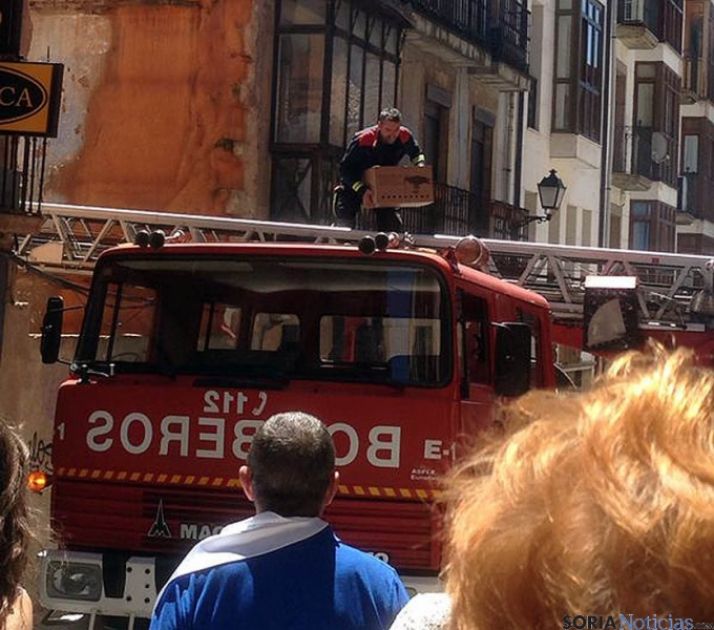El animal, en una caja para su transporte. / SN