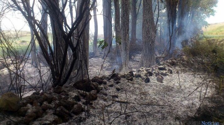 Los rescoldos tras apagar las llamas. / SN