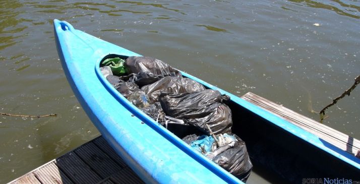 Diversas imágenes de la jornada medioambiental.