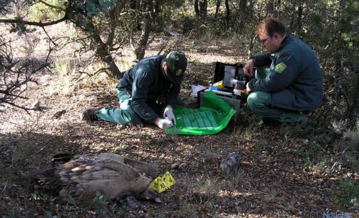Agentes medioambientales en un levantamiento 