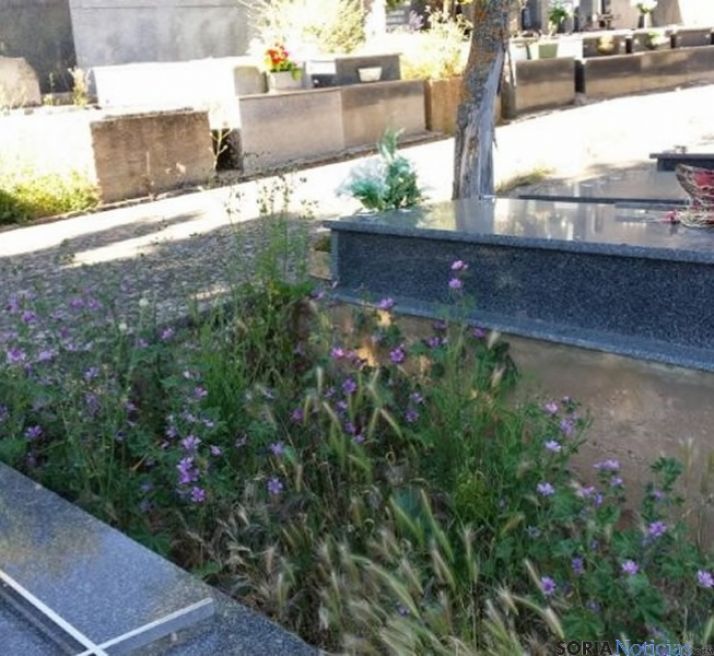 Estado del cementerio