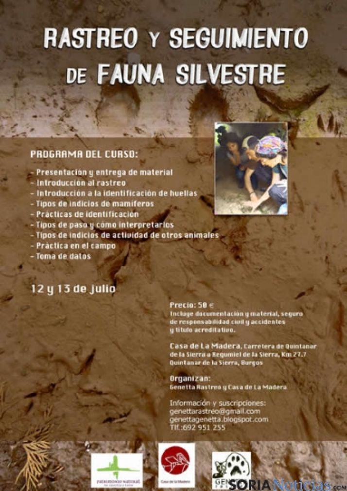 Cartel del curso