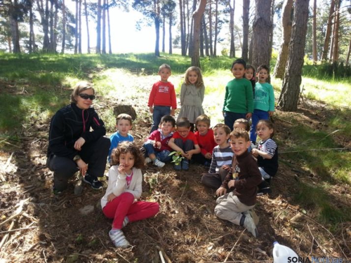 Actividades para el Día del Medio Ambiente