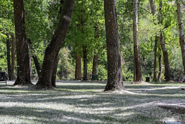 El Soto Playa, ayer martes.