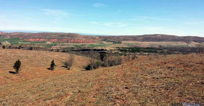 Paraje de Valderromán, donde ha intervenido ASFOSO.