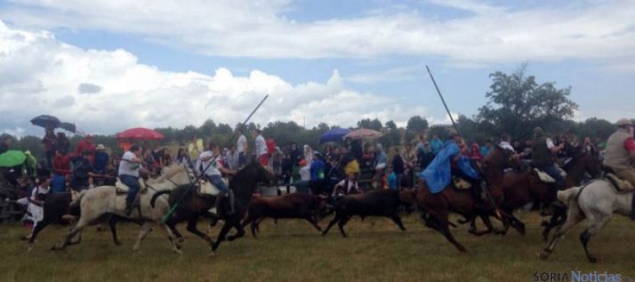 Salida de los novillos en la Vega de San Millán. / SN