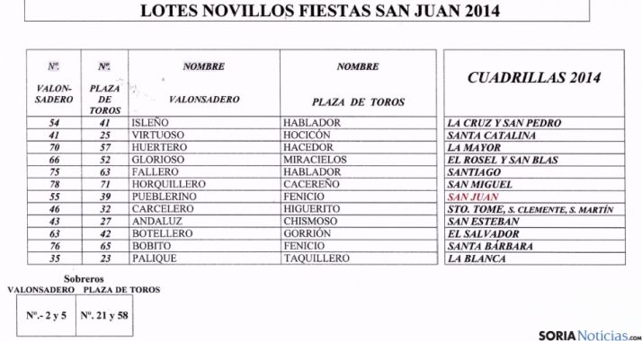 Lote de novillos San Juan 2014