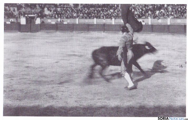 Fotografía que ha resultado en 4º lugar.