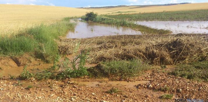 Imágenes de los destrozos ocasionados por las tormentas. / SN